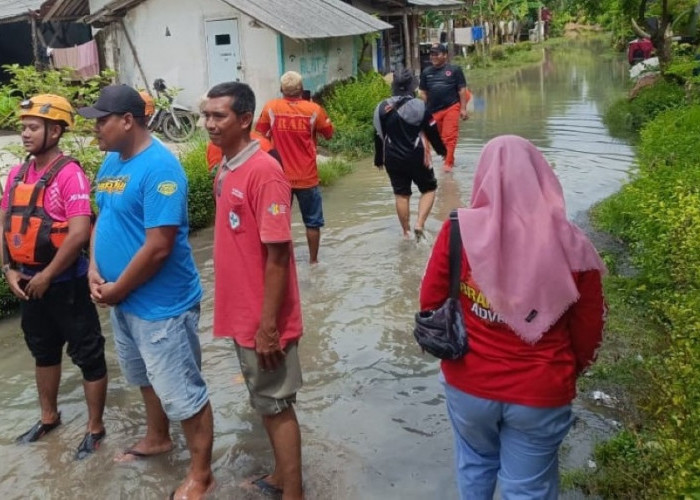 BPBD Jember Respon Banjir Rendam Ratusan Rumah di Wuluhan, Air Capai 80 Sentimeter