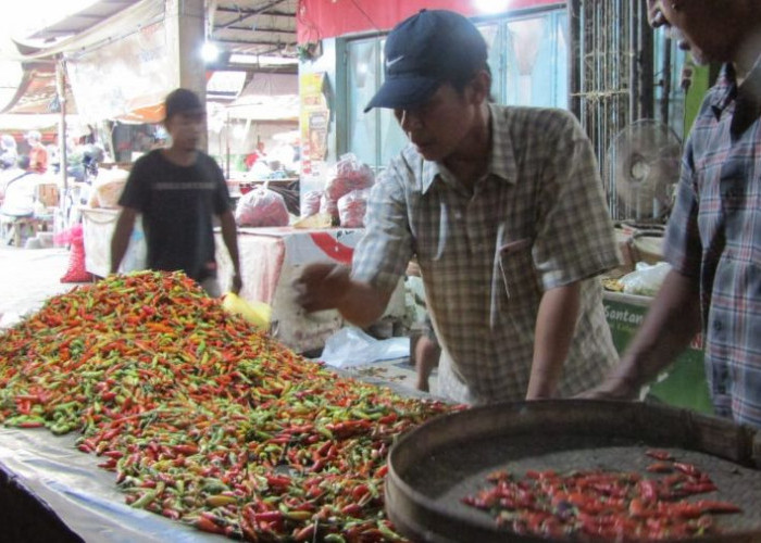 Penurunan Harga Cabai Rawit Penyebab Utama Deflasi Mojokerto di Bulan April 2026
