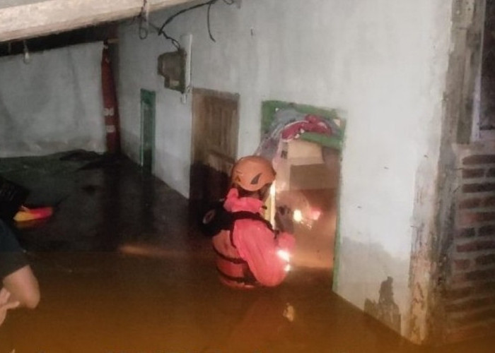 Hujan Deras, Picu Banjir dan Longsor di Jember, 191 KK Terdampak