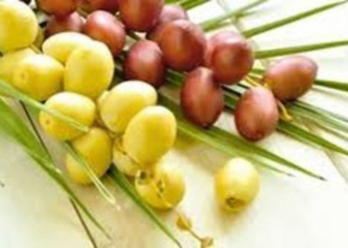 Konsumsi Kurma Muda, Manfaatnya Antara Mitos dan Fakta