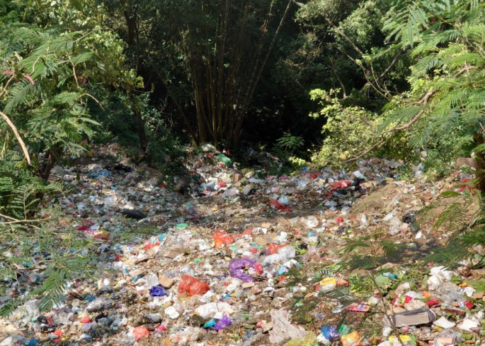 Jurang Gembolo Jadi Tempat Sampah Liar, Bau Menyengat dan Ancam Kelestarian Kawasan Wisata Pacet–Trawas