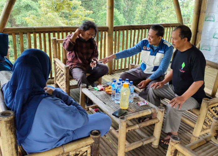 WeHasta Gencarkan Pelihara Sumber Mata Air, Tanam Bibit Pohon Beringin