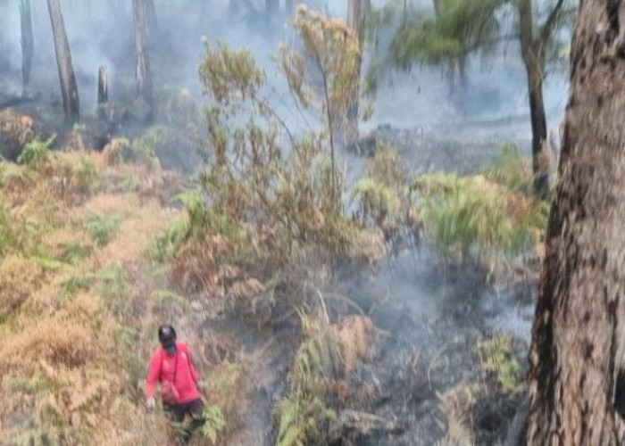 Hujan di Pacet dan Trawas Bantu Padamkan Titik Api Karhutla di Lereng Welirang Mojokerto