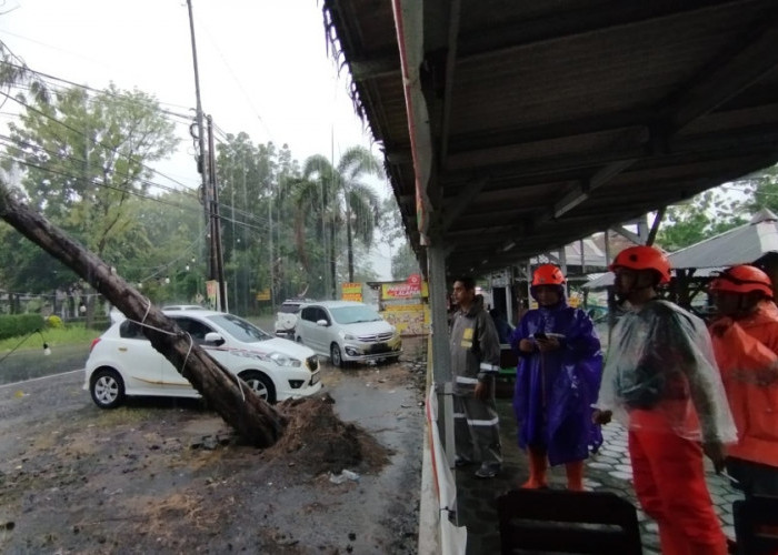 Di Jember, Angin Kencang dan Longsor Terjang 4 Kecamatan, 14 Rumah Rusak Ringan