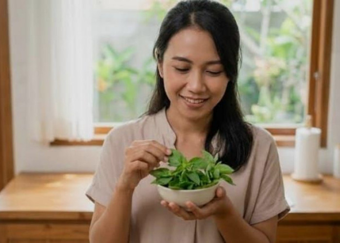 Jangan Remehkan Daun Kemangi, Lalapan Favorit Ini Ternyata Menyimpan Banyak Manfaat bagi Kesehatan