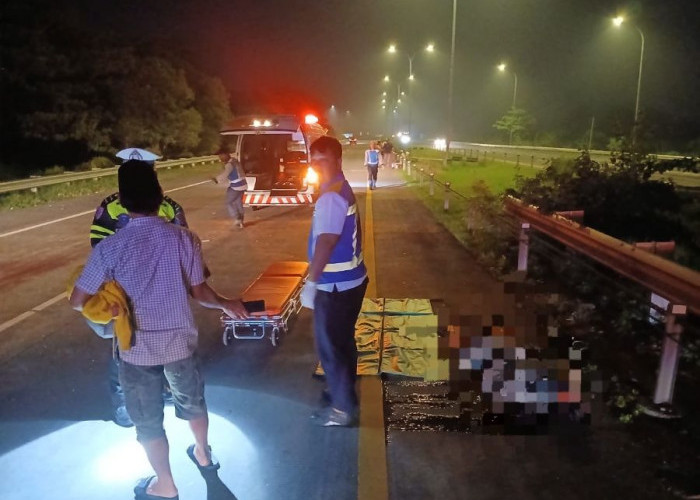 Truk Alami Pecah Ban, Kernet Tewas Ditabrak Avanza saat Memberi Isyarat di Tol Surabaya - Mojokerto