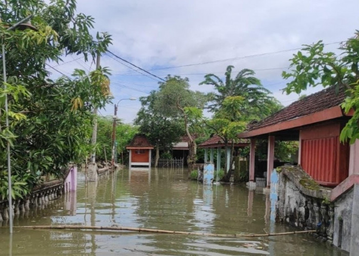 Hujan Deras Picu Banjir di Dawarblandong dan Longsor di Trawas, Mojokerto