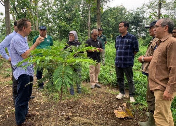 ­­­­­­Tinjau Proyek Mewlafor, Tim UNIDO Kunjungi SDN Pandan dan PPLH Seloliman