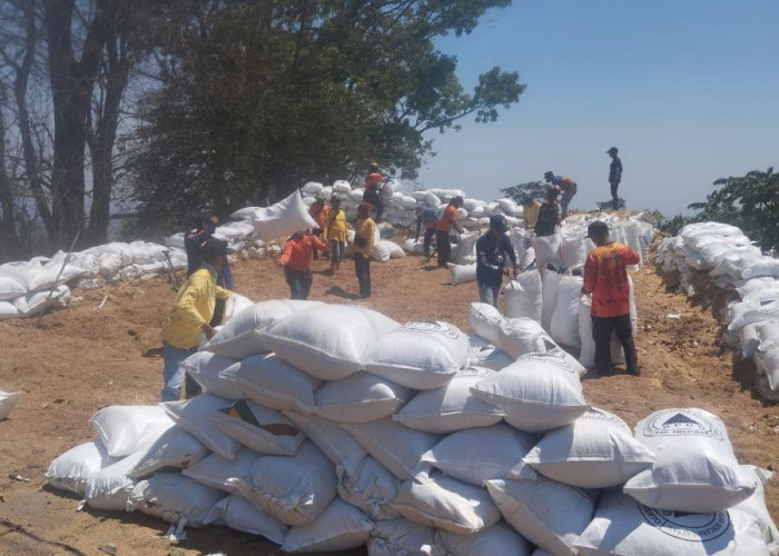 Benteng Penyelamat Tikungan Gotean Pacet Mojokerto Direvitalisasi, Ratusan Karung Sekam Diganti Baru