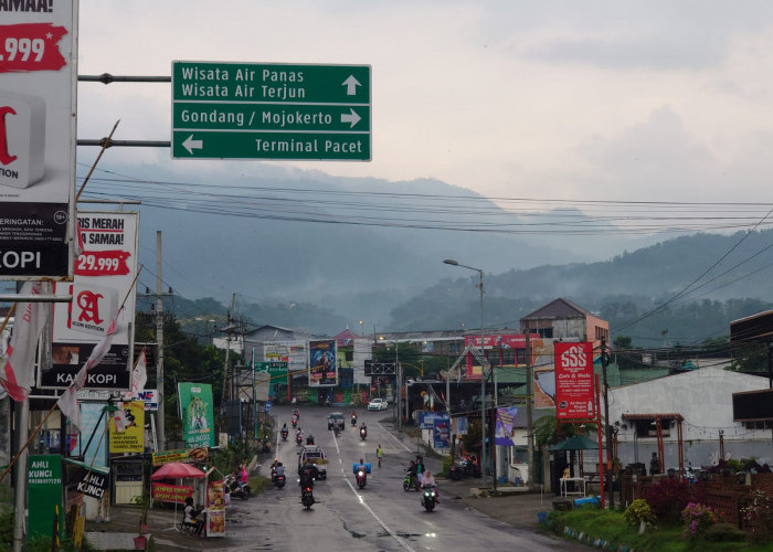 Usulan Angkutan Transportasi Umum Mojokerto - Pandaan Sudah Masuk Program Dishub Jatim 