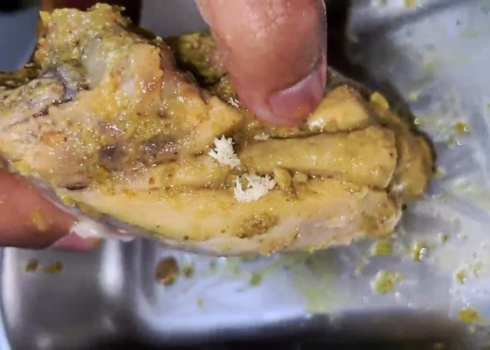 Viral, Menu Makan Bergizi Gratis di SMAN 2 Kota Mojokerto  Diduga Ada Ulatnya