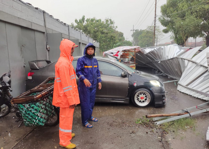 Hujan Deras Disertai Angin Kencang Melanda Mojokerto, Akibatkan Pepohonan Tumbang   