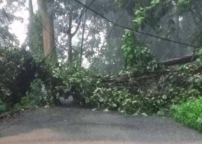 Waspada Cuaca Ekstrem di Mojokerto pada 13 hingga 19 November 2025