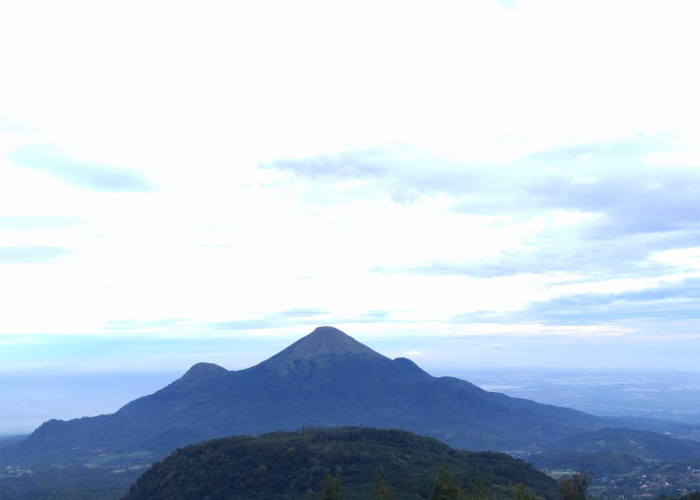 Usai Insiden Menewaskan Pendaki Asal Mojokerto, Jalur Pendakian Gunung Penanggungan Ditutup Sementara