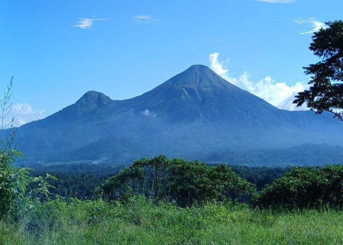 Dari Bukit Krapyak sampai Anjasmoro, Pilihan Pendakian Seru di Mojokerto.