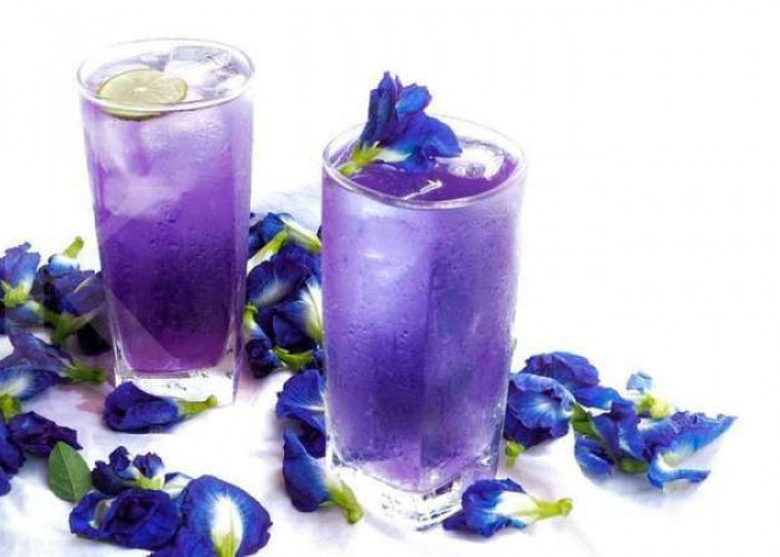Minuman Bunga Telang dengan Warna Eksotis, Mudah Dibuat Berjuta Manfaat