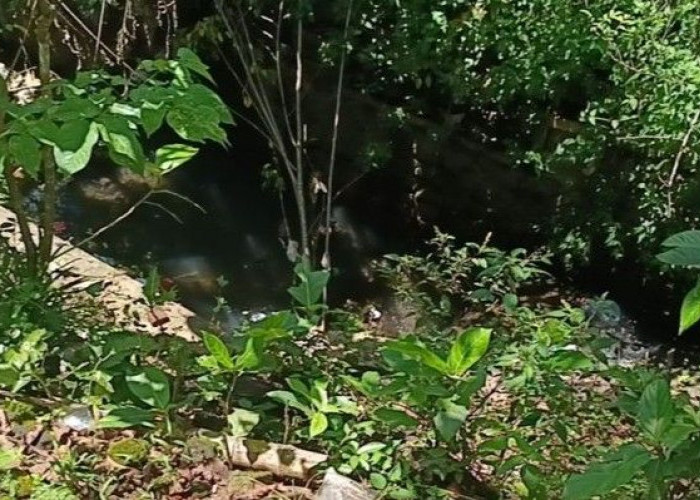 Hujan Deras Picu Longsor di Dua Kecamatan Jember, Fondasi Rumah dan Irigasi Ambrol