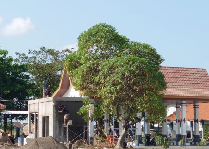 Terminal Mojosari Dapat Sentuhan Perbaikan, Pos Pendataan Mulai Dibangun