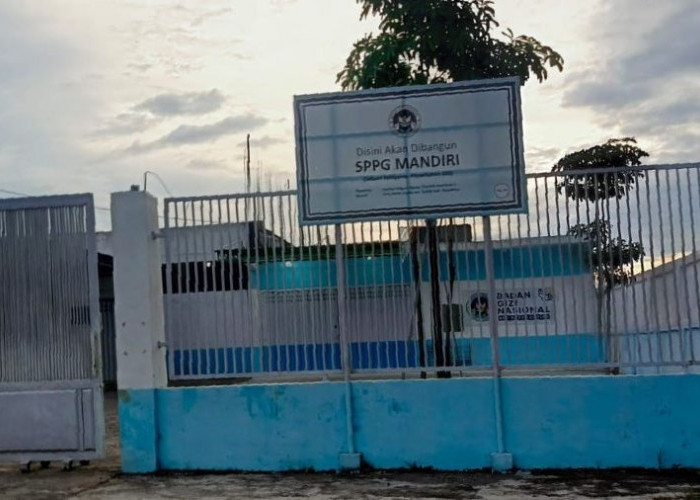 Kok Bisa Beroperasi? Dapur SPPG di Gedeg Mojokerto Berdekatan dengan Kandang Ayam