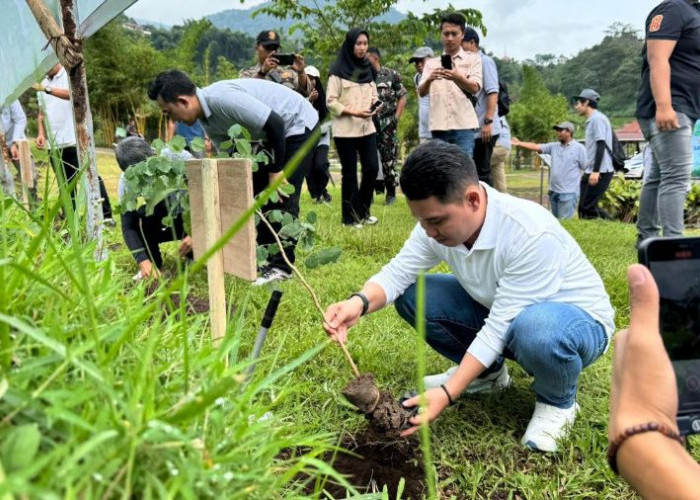Peduli Terhadap Lingkungan, PT SAI Gelar Aksi Penanaman 2000 Bibit Pohon di Trawas