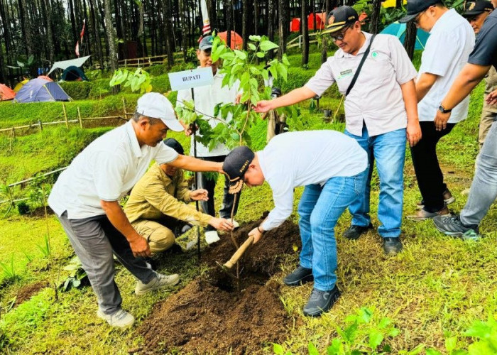   Tanam 1000 Pohon di Ultah Ke-3 Veenuz Trawas , Bupati Mojokerto Sebut Investasi Masa Depan