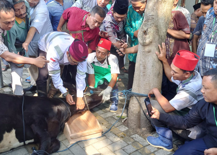 Jelang Iduladha, Juleha Peroleh Pelatihan dari Baznas Kota Mojokerto