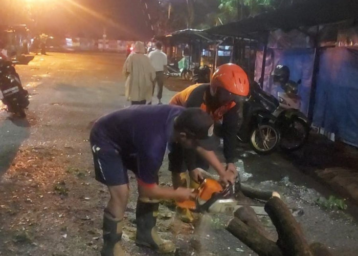 Dahan Pohon Patah Akibat Angin Kencang di Mojokerto, Satu Warung Rusak dan Satu Orang Terluka