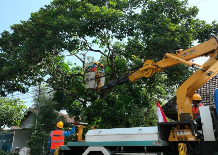 Sambut HUT RI ke-80, PLN Gelar Pemeliharaan Tanpa Padam di Berbagai Wilayah