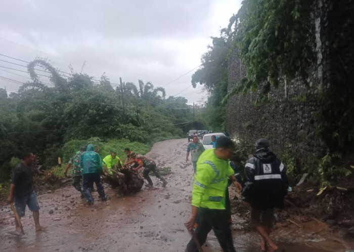 Hujan Deras Sebabkan Tebing Longsor di Pacet Mojokerto, Arus Lalu Lintas Sempat Terganggu