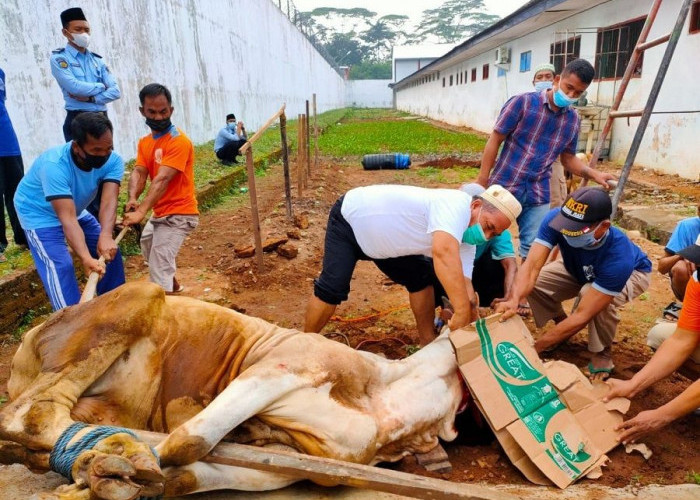 Menjaga Kesucian Iduladha, Membasuh Darah Kurban Tanpa Mengotori Lingkungan