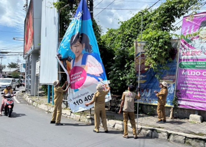 Bapenda Jember Tertibkan Reklame Tak Berizin di Sepanjang Jalan Jawa–Kebonsari