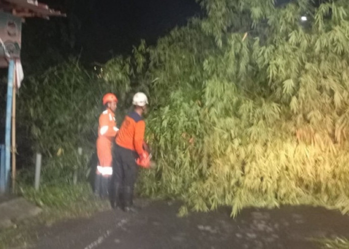 Barongan Bambu Tumbang di Tengah Jalan Ringroad Mojoagung