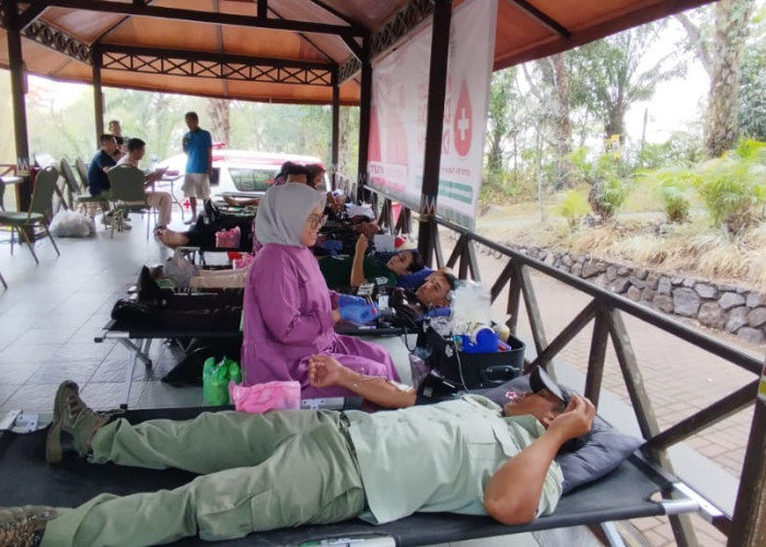 Stok Darah di PMI Kota Mojokerto Bulan November Aman, Ini Rincian per Golongan Darah