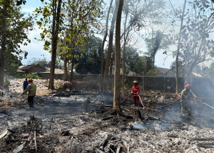 Ilalang Kering di Lahan Polije Jember Terbakar, Api Menghanguskan 30 Meter Persegi