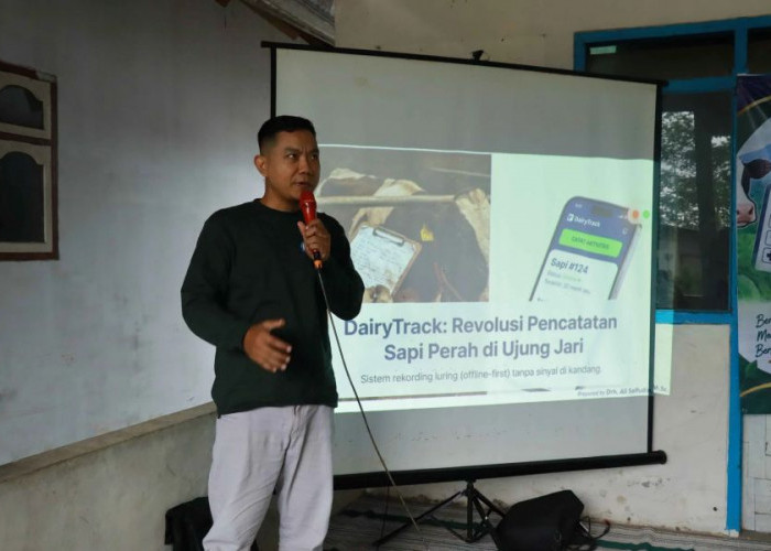 Catatan Sapi Tak Lagi Bergantung pada Kertas, Peternak Lumajang Kenali DairyTrack