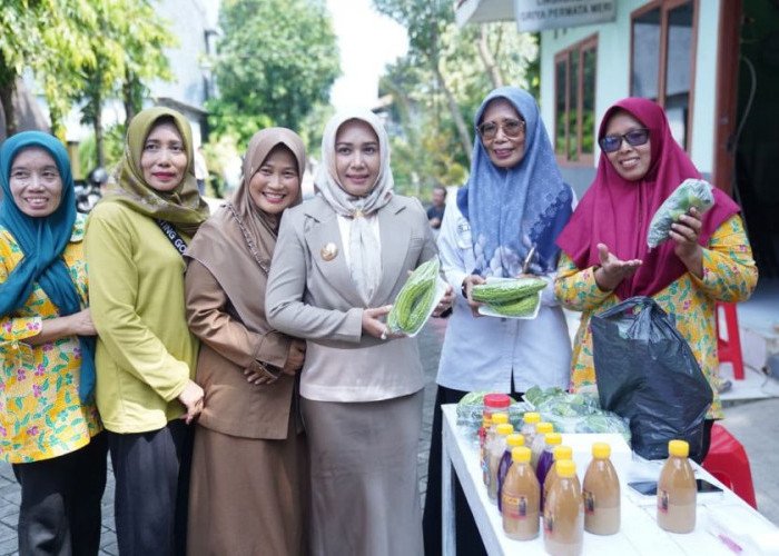 Dari Pekarangan ke Stabilitas Harga, Cara Mojokerto Lawan Inflasi Lewat Gerakan Tanam Cabai