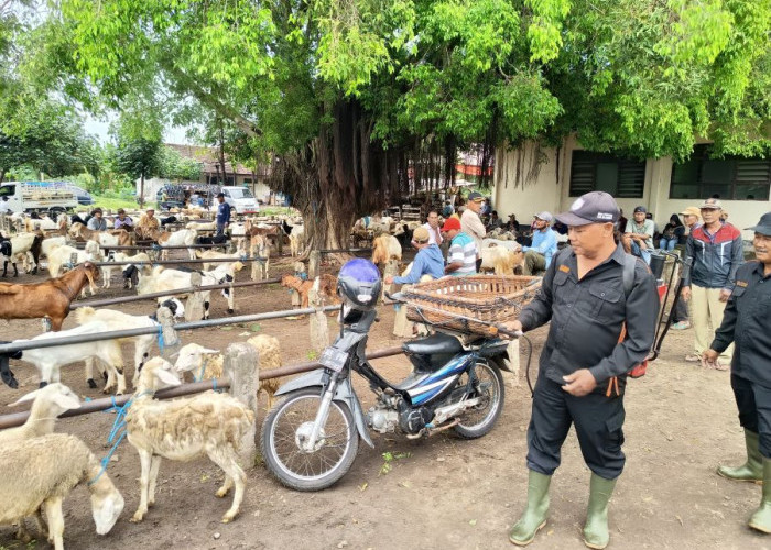 Cegah Penyebaran PMK, Pasar Hewan di Mojokerto  Disemprot Disinfektan