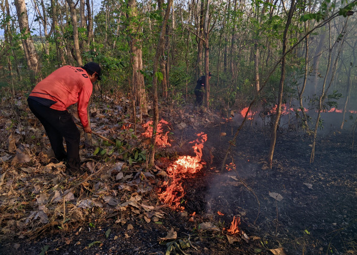 Karhutla Melanda Kawasan Hutan di Jetis Mojokerto