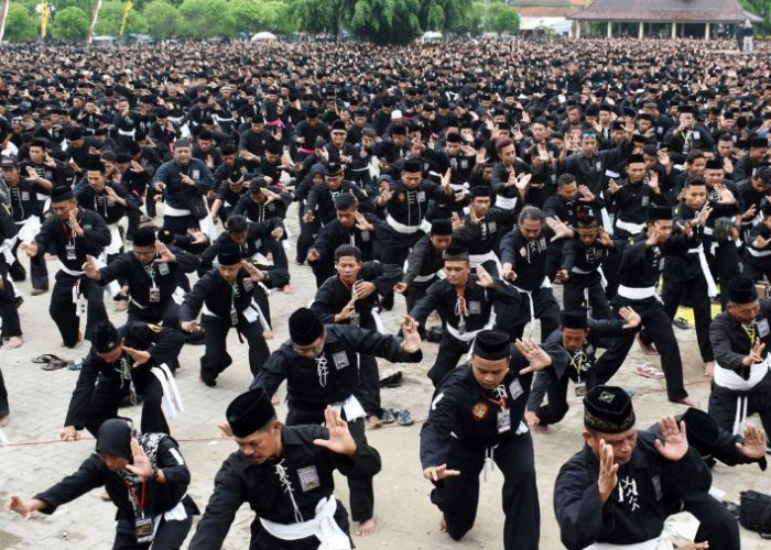 Hadapi Era Krisis Wibawa, Begini Tanggapan Anggota PSHT