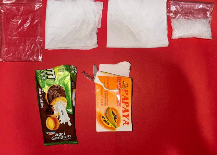 Hendak Edarkan Narkoba, Polisi di Mojokerto Ringkus Pengedar Sabu, Sita 17,69 Gram