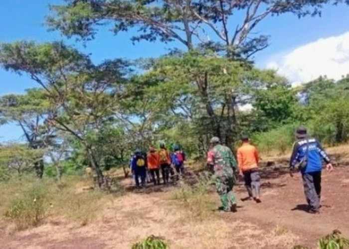 Kakek di Situbondo Hilang Saat Menggembala Sapi di Hutan Taman Nasional Baluran