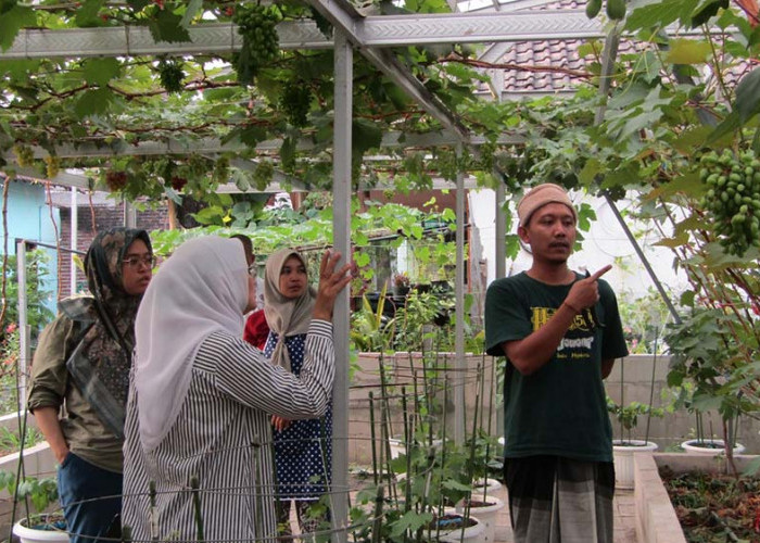 Bupati Ikfina Resmikan Kampung Anggur Majapahit 3 