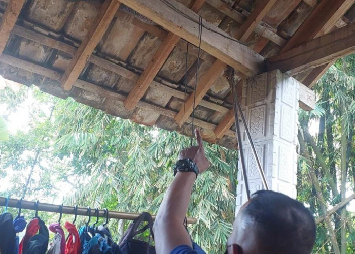 Ular Kayu Masuk Rumah Warga di Trawas Mojokerto, Petugas Damkar Bantu Evakuasi