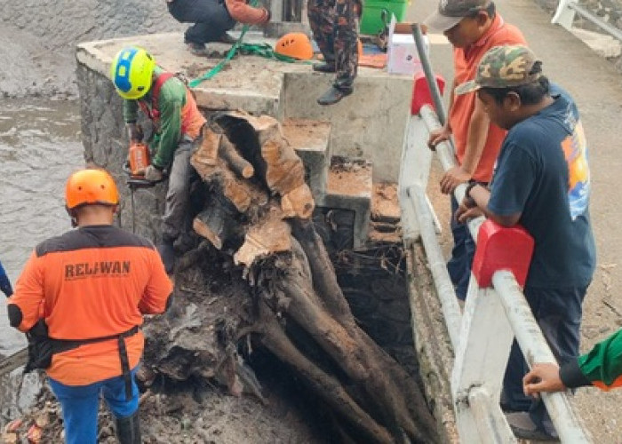 Batang Pohon Diameter 50 cm Sumbat Dam Sungai Subiantoro di Dusun Genengan, Banjaragung, Puri