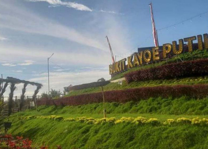 Wisata Bukit Kayoe Putih Mojokerto Bakal Jadi Halte Bus Trans Jatim Koridor III