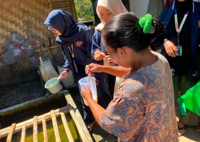 Biji Kelor Berhasil Jernihkan Air Gucialit, Kekeruhan Turun Jadi 1,07 NTU
