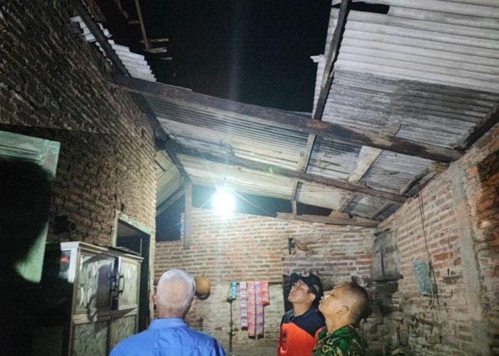Hujan Disertai Angin Kencang Terjang Mojokerto, Sejumlah Rumah Rusak dan Pohon Tumbang