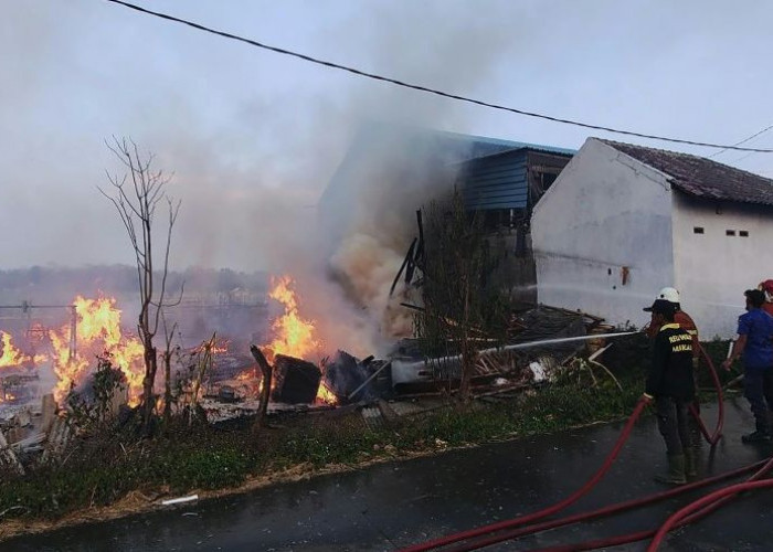 Gudang Produksi Pintu di Mojokerto Ludes Terbakar, Kerugian Ditaksir Rp 200 Juta