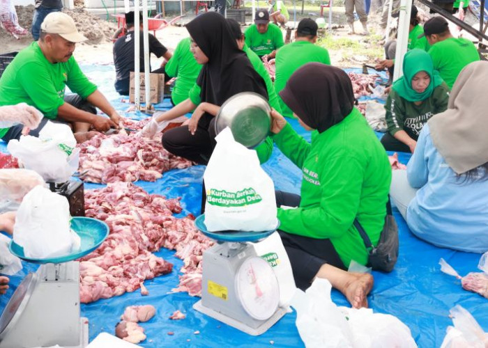 Dari Kandang Warga ke Meja Makan Mustahik, 3.621 Paket Daging Kurban Dibagikan oleh Baznas Mojokerto