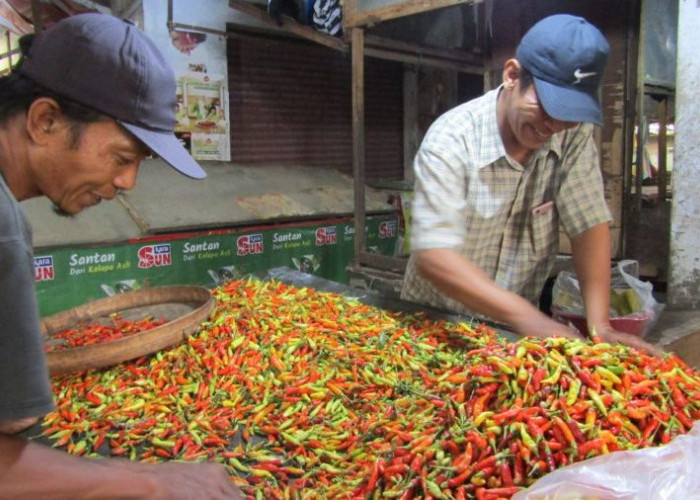 Selama Juli 2025, Komoditas Cabai Rawit Bikin Indeks Fluktuasi Harga di Mojokerto Naik